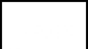 Aircraft wing mechanization: description, operating principle and design