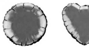 Balloon for flying - what is it called?