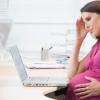 Pregnancy - 