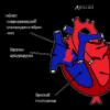 Treatment of the heart with folk remedies