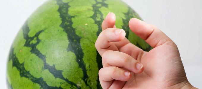 When to pick watermelons from the garden - expert advice