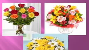 Drawing flowers (presentation) Presentation on the topic of drawing flowers