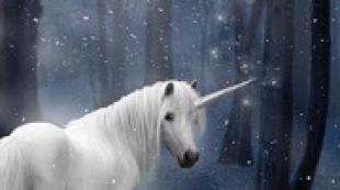 Interpretation of dreams unicorn, dream unicorn, dreamed of a unicorn Why dream of a white unicorn